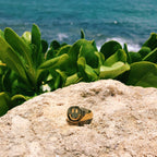 Anillo Boston Gold - nomada.mxj